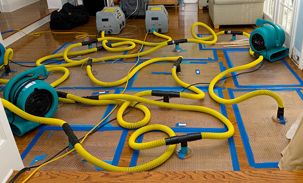 Professional Burst Pipe Water Damage technician working in Celina, TN